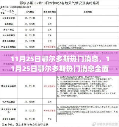 11月25日鄂尔多斯热门消息全面解析