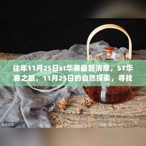 ST华赛之旅，11月25日的自然探索，寻找内心的平静