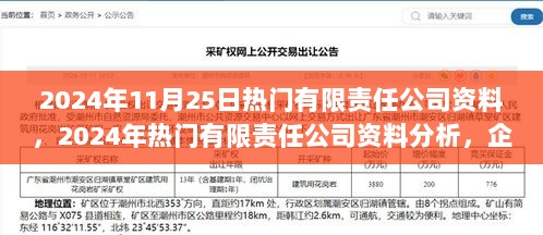 2024年热门有限责任公司资料解析，企业运营与市场策略的双重考量