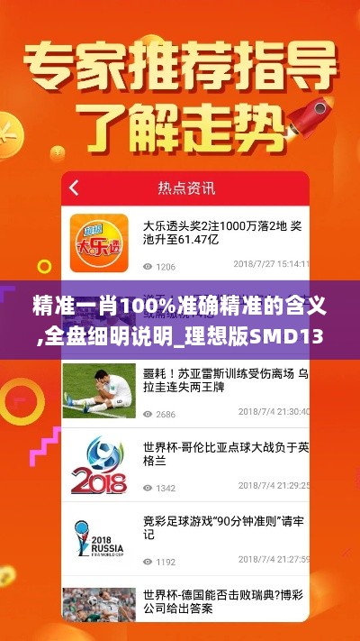 精准一肖100%准确精准的含义,全盘细明说明_理想版SMD13.12