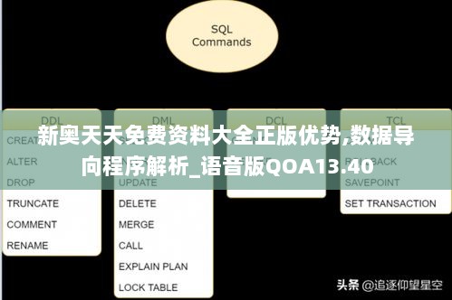 新奥天天免费资料大全正版优势,数据导向程序解析_语音版QOA13.40