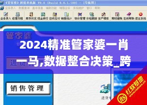 2024精准管家婆一肖一马,数据整合决策_跨界版BHD13.38