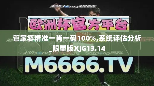 管家婆精准一肖一码100%,系统评估分析_限量版XJG13.14