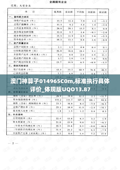 澳门神算子014965C0m,标准执行具体评价_体现版UQO13.87