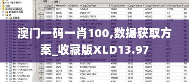 澳门一码一肖100,数据获取方案_收藏版XLD13.97