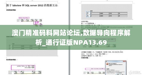 澳门精准码料网站论坛,数据导向程序解析_通行证版NPA13.69