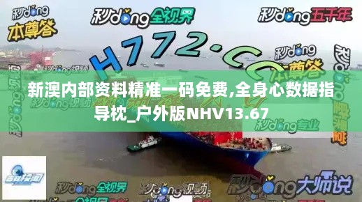 新澳内部资料精准一码免费,全身心数据指导枕_户外版NHV13.67