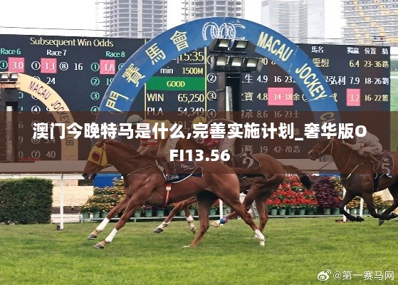 澳门今晚特马是什么,完善实施计划_奢华版OFI13.56