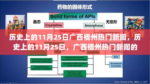 历史上的11月25日，广西梧州热门新闻深度解析与回顾