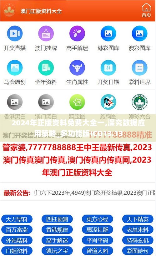 2024年正版资料免费大全一,深究数据应用策略_多功能版ICO13.13