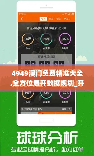 4949澳门免费精准大全,全方位展开数据规划_开放版OOR13.18