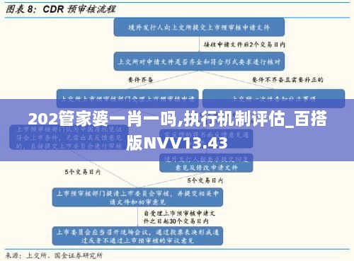 202管家婆一肖一吗,执行机制评估_百搭版NVV13.43