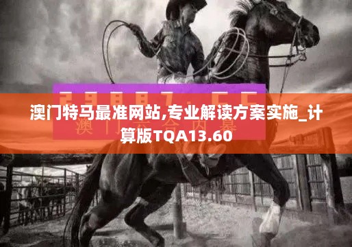 澳门特马最准网站,专业解读方案实施_计算版TQA13.60