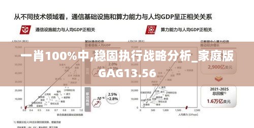 一肖100%中,稳固执行战略分析_家庭版GAG13.56