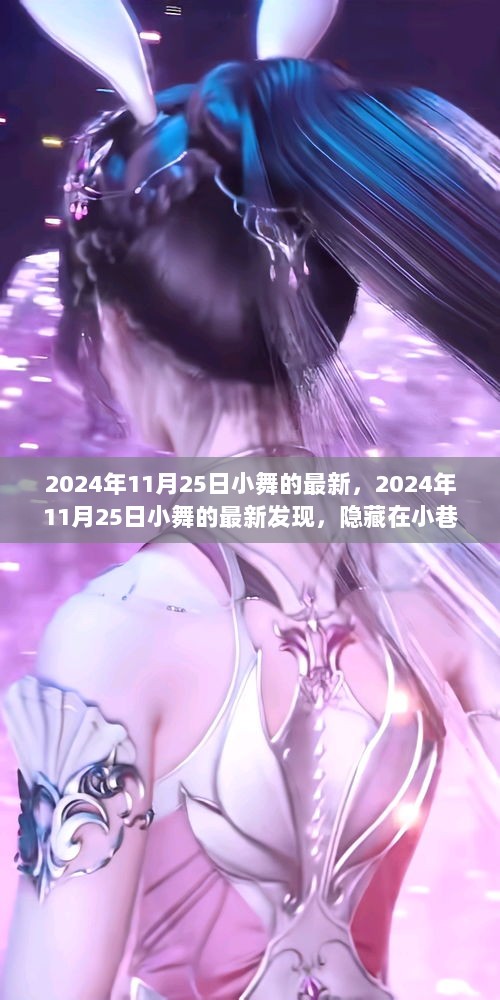 2024年11月25日小舞的最新发现，隐藏在小巷的特色小店，开启不一样的美食之旅