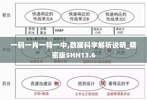 一码一肖一特一中,数据科学解析说明_精密版SHH13.6