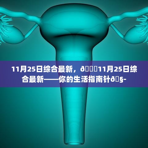 11月25日综合最新生活指南针🧭