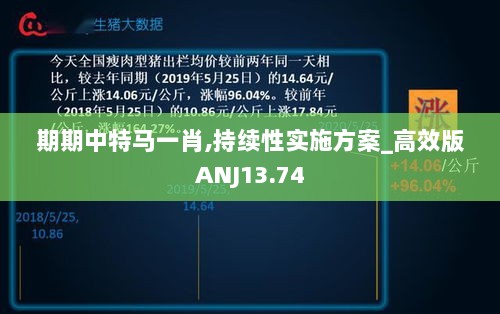 期期中特马一肖,持续性实施方案_高效版ANJ13.74