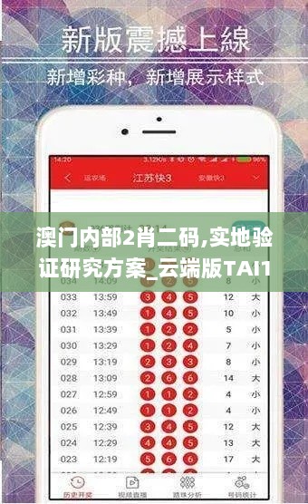 澳门内部2肖二码,实地验证研究方案_云端版TAI13.40