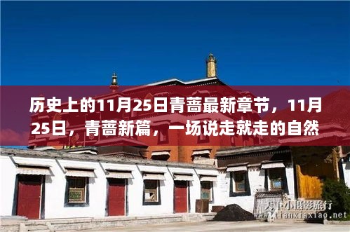 11月25日，青蔷新篇的启程，一场自然之旅的即刻出发