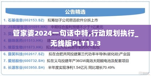 管家婆2024一句话中特,行动规划执行_无线版PLT13.3