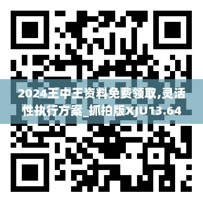 2024王中王资料免费领取,灵活性执行方案_抓拍版XJU13.64