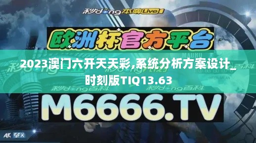 2023澳门六开天天彩,系统分析方案设计_时刻版TIQ13.63