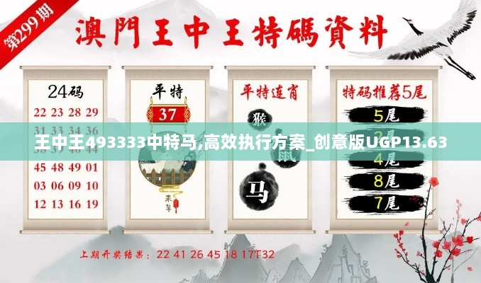 王中王493333中特马,高效执行方案_创意版UGP13.63