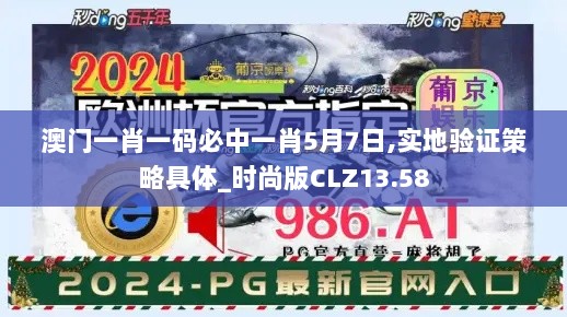 澳门一肖一码必中一肖5月7日,实地验证策略具体_时尚版CLZ13.58