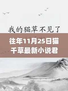 猫千草君系小说，传统与创新的交融