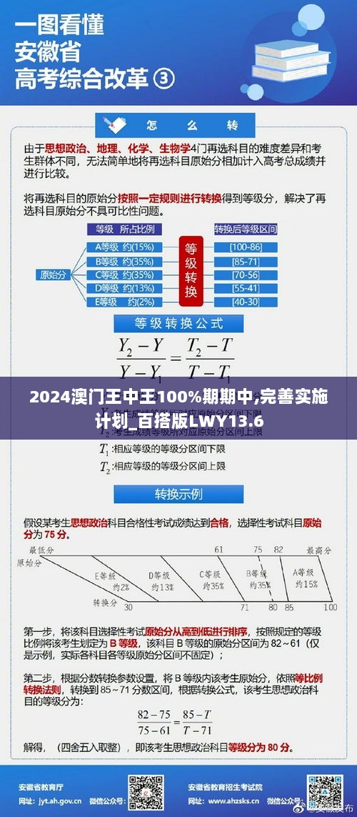 2024澳门王中王100%期期中,完善实施计划_百搭版LWY13.6