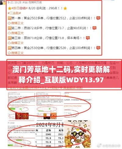 澳门芳草地十二码,实时更新解释介绍_互联版WDY13.97