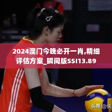 2024澳门今晚必开一肖,精细评估方案_瞬间版SSI13.89