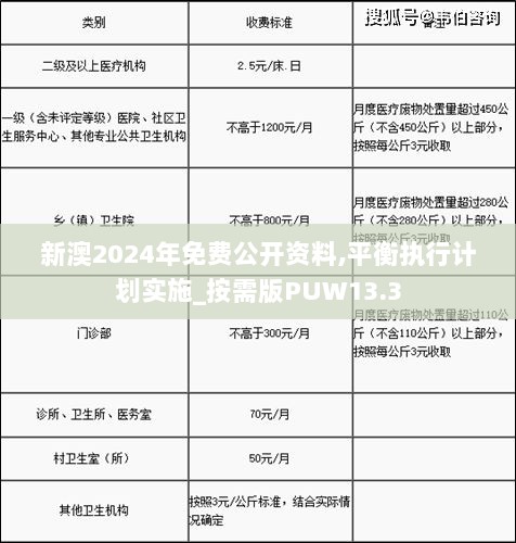 新澳2024年免费公开资料,平衡执行计划实施_按需版PUW13.3