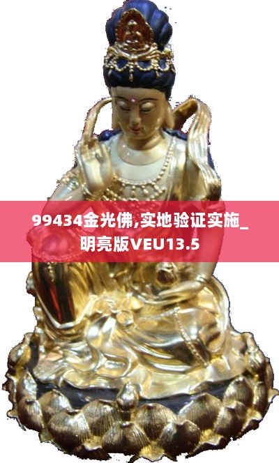 99434金光佛,实地验证实施_明亮版VEU13.5