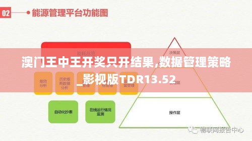 澳门王中王开奖只开结果,数据管理策略_影视版TDR13.52