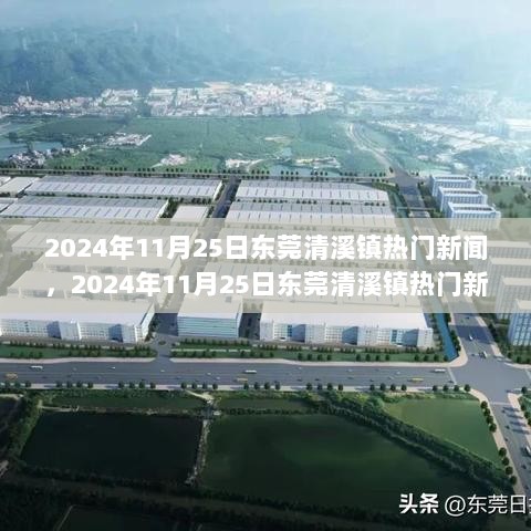 2024年11月25日东莞清溪镇，传统陶瓷工艺品制作指南与热门新闻