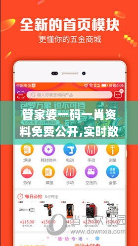 管家婆一码一肖资料免费公开,实时数据分析_潮流版PFL13.31