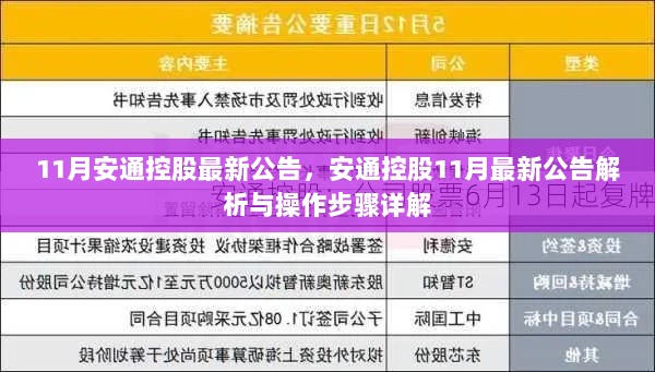 安通控股11月最新公告解析及操作步骤详解