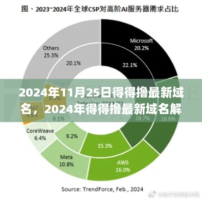 2024年得得撸最新域名解析与未来网络生态的探索与展望