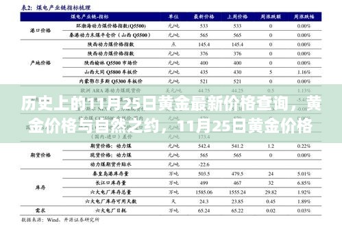 11月25日黄金价格回顾，自然之约与旅行启示的背后