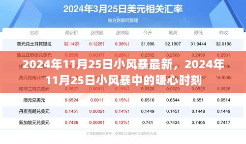 2024年11月25日小风暴中的暖心时刻