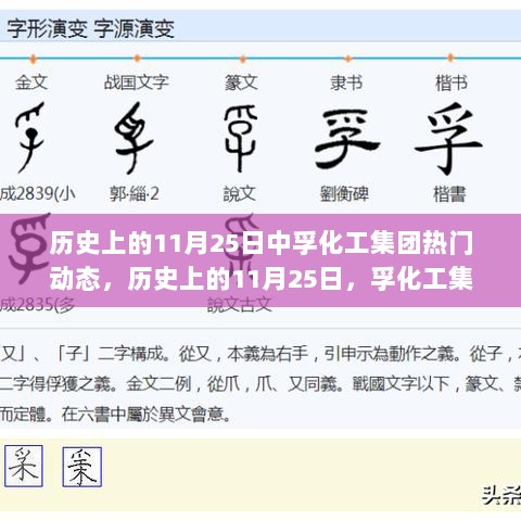 历史上的11月25日，孚化工集团发展脉络与影响回顾