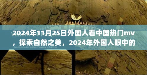 2024年11月 第498页