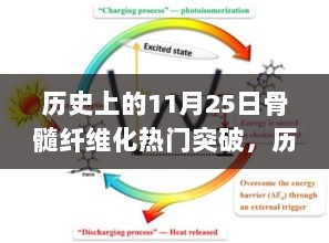 历史上的11月25日，骨髓纤维化重大突破与小巷特色小店的交织记忆