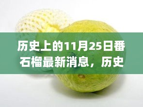 历史上的11月25日，番石榴产业动态与市场观察最新消息汇整