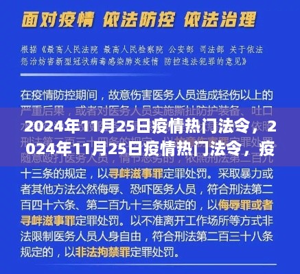 2024年11月25日疫情热门法令，疫情防控与法治并进的新篇章