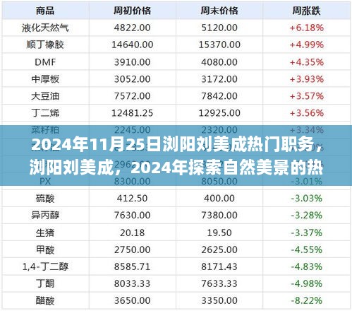 2024年浏阳热门旅行者刘美成，探索自然美景的佼佼者