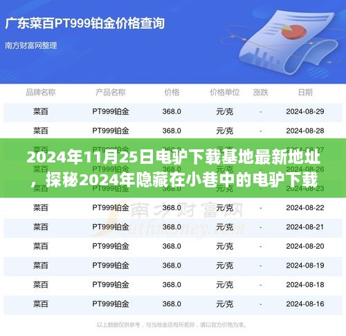 2024年隐藏小巷中的电驴下载基地探秘之旅