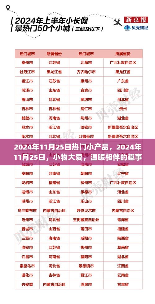 2024年11月25日小物大爱，温暖相伴的趣事与热门小产品